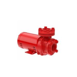 Bomba Centrífuga FSG-IN 2CV Monofásica 127/220V Rotor Fechado